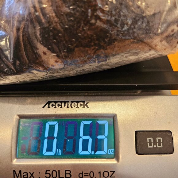 Dressbarn Womens M Floral Bell Sleeve Blouse multicolor Polyester dots Bohemian - Picture 11 of 12